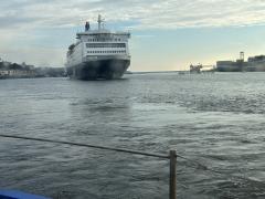 On the way down to the start - is that big ferry going to hit our small one?